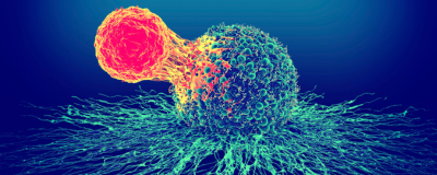 Autoimmune Diseases