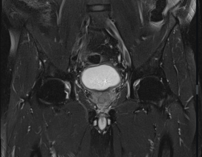 Example Image