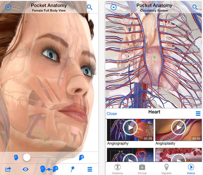 Pocket Anatomy | The Medical Education Network | eLecture